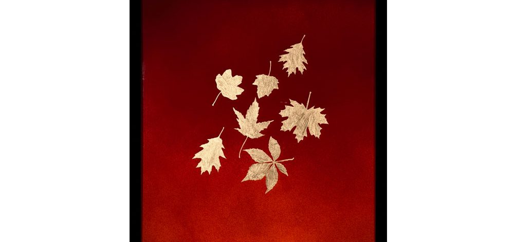 herbstblätter herbstblätter